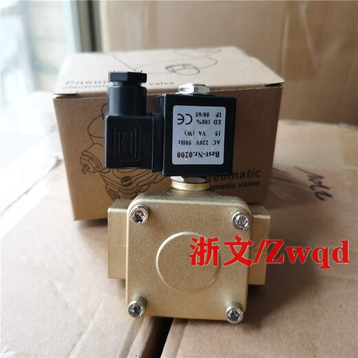 Solenoid valve Best-Nr.0200 DC24V AC220V 0927200 Normally closed diaphragm water valve air valve oil valve DC24V