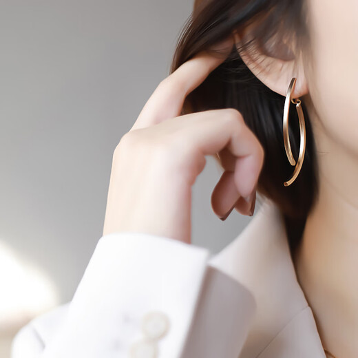 Sili long slim earrings, matte gold ear clips, temperament-free, high-end, niche design, metal commuting style earrings, matte gold, mosquito coil disc ear clips, a pair