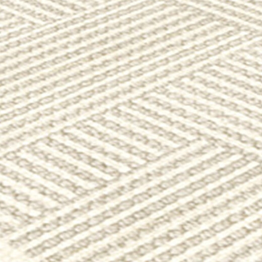 Vianka Carpet Living Room Высококачественный легкий роскошный ковер гостиная простая домашняя крем-стиль ковер спальня zj844 80x160см