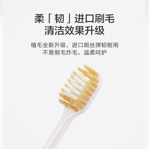 Fabriqué dans JD.com, brosse à dents à poils à tête large * Pack 2, brosse à dents à poil à la tête large adulte, expédition de couleurs aléatoires