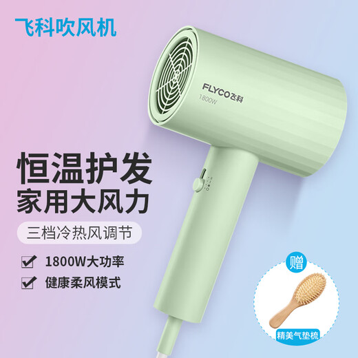 Feike hair dryer household high-power negative ion hair care folding high-wind speed drying silent hair dryer FH6296 with air cushion comb