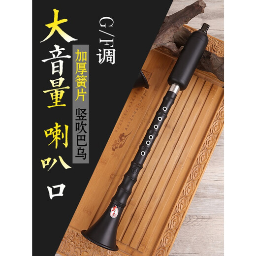 巴乌乐器竖吹成人演奏小学生初学入门大音量 单管乐器 F调+包+指法表+入门教学书