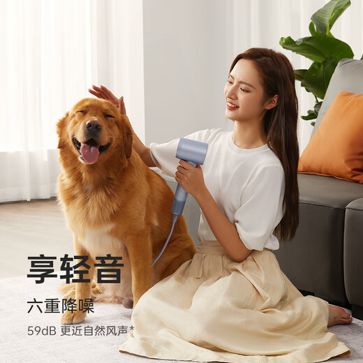 Laifen high-speed hair dryer, quick-drying household hair dryer, negative ion hair care, low-noise hair dryer, birthday gift, national subsidy, LF03 gold powder