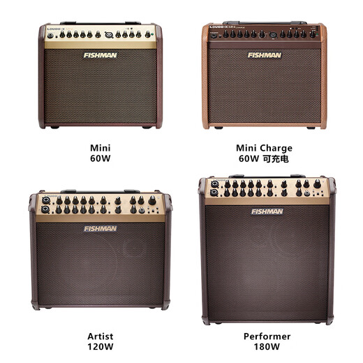 FISHMAN fisherman playing and singing speaker Loudbox acoustic guitar outdoor singing road show electric blowpipe live acoustic musical instrument audio 60w (mini) package five type-c internal recording line