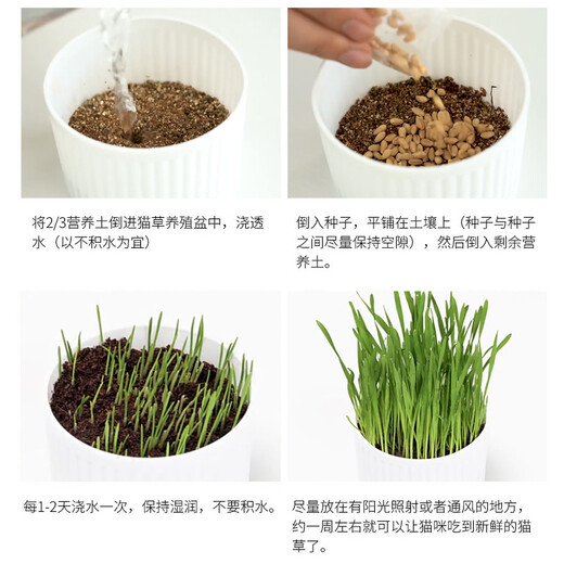 Huanpet.com cat grass potted seed set, lazy canned hydroponic soil culture, cat snacks, cat hair balls, catnip