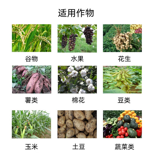 Bairui 0.02% iron chlorin regulates growth and increases growth regulator ripening agent genuine 1 bag (30g)