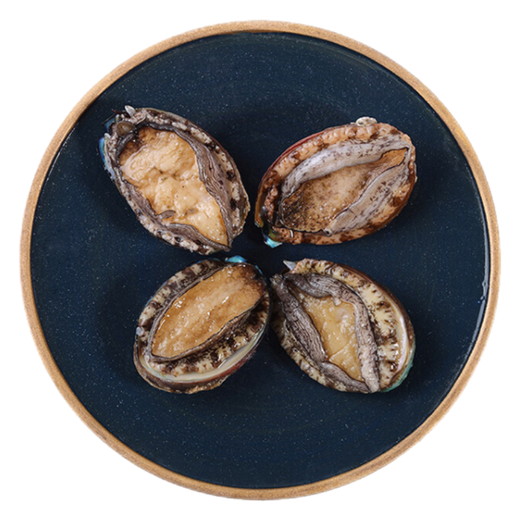 Twisted Abalone 1 fresh small abalone (22-28 heads/500g)