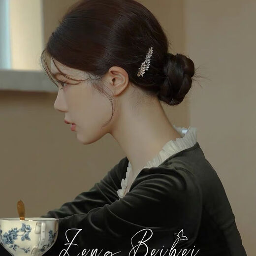 Hongyun Nachahmung Diamant Weizenohr Clip Damen Seitenclip kleine frische Haarspange Temperament Haarspange Stirnband Pony Clip gebrochene Haarspange Weizenohr Seitenclip ein Paar F147