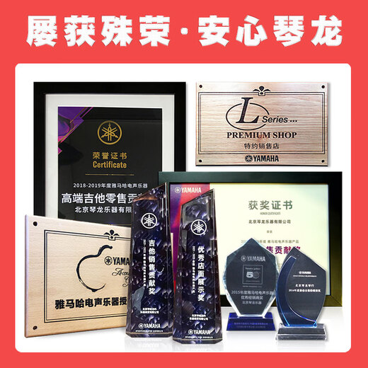 Yamaha (YAMAHA) Guitar Speaker THR10II WL Second Generation Charging Wireless Bluetooth Electric Acoustic Guitar Bass THR30A Electric Box Playing and Singing 20 Watt Basic Model THR10-II