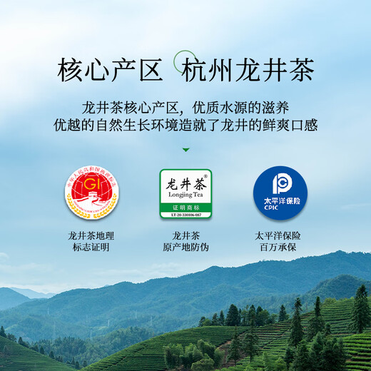 第一江南绿茶龙井特级250g2025新茶明前茶叶礼盒一帘春色头采春茶高端礼品