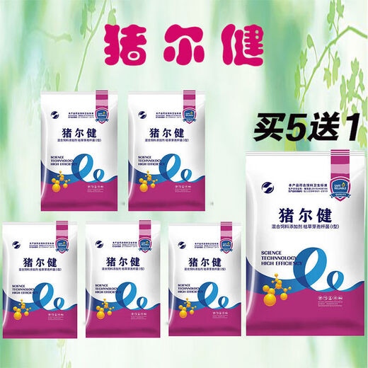 OIMG pig feed additive piglet healthy pig enlarged skeleton rapid fattening agent Zhuer Qiangjian growth hormone 6 bags 80% of farmers purchased