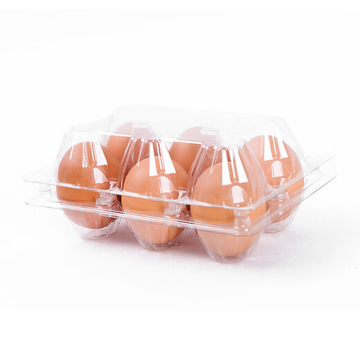 Hongtiepu 6-piece egg tray disposable egg plastic box 100-piece transparent egg packaging box 100-piece 6-piece egg tray suitable for eggs 45g-58g