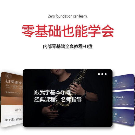 萨尔特次中音萨克斯管乐器专业成人降b调SP-6600 进口铜材 台湾原装原产 仿古青铜色