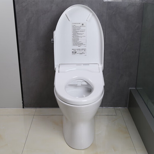 TOTO Smart Toilet Extreme Vortex Control remoto Control inteligente Esterilización electrolítica CW830+TCF3M460 305 Distancia de pozo