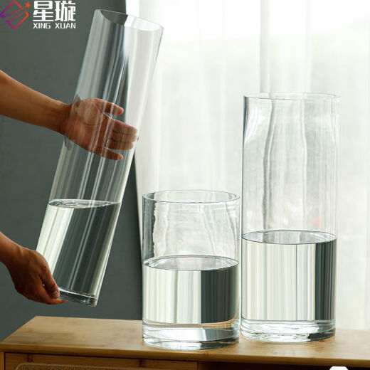Lintong Xingxuan vase decoration living room special vase for inserting snow willow high-end transparent glass bottle Ma Zui Mu water nourishing rich bamboo caliber 15 height 25cm [transparent color] first-class product