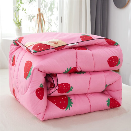 Huahengyu warm quilt winter quilt thickened quilt student dormitory autumn and winter double single space quilt core bedding strawberry 150*200cm weighs about 3 Jin [Jin equals 0.5 kg]