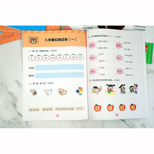 幼小衔接冲刺练习-语文297875493**834