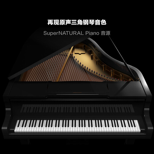 罗兰（Roland）FP-60X电钢琴便携式家用88键重锤成人专业演出智能电子钢琴 FP-60X黑色（金属单踏板）