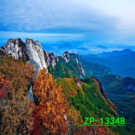 
CLCEY Internet celebrity live background cloth 3D three-dimensional landscape painting movable high-definition live room outdoor interior background wall ZP-13556 2.5 meters wide - 2.5 meters high (hook type)