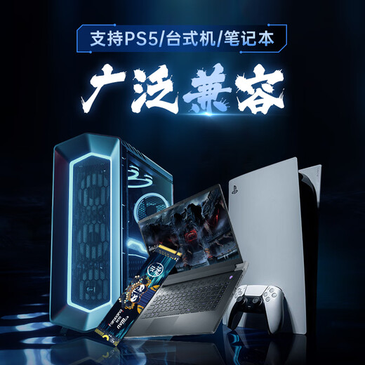 梵想（FANXIANG）S690M SSD固态硬盘 M.2接口PCIe 4.0 x4台式机笔记本适用 2TB【TLC颗粒 读速4800MB/S】