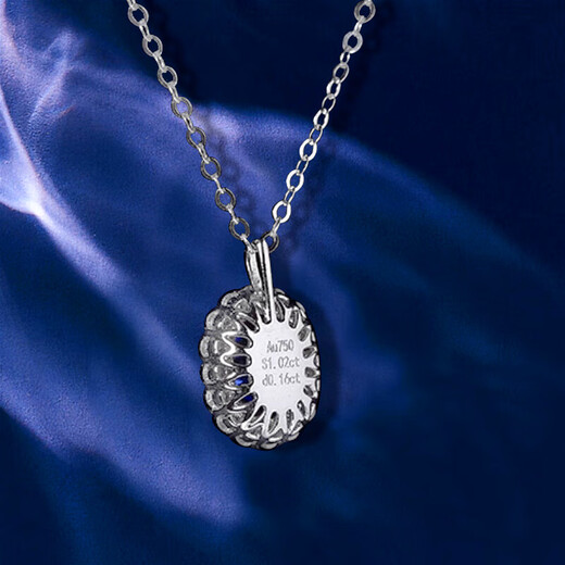 Haikai Necklace Women's Sapphire Necklace Luxury Jewelry Valentine's Day Birthday Gift for Wife or Girlfriend Unfired Sapphire Necklace (1.02 carats/selected flawless)