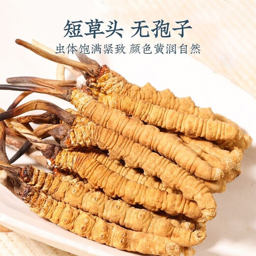 Luzhangtang Tibetan Qu Premium Cordyceps 1 gram Pack of Broken Cordyceps Broken Grass Cordyceps Cooked 1 gram Pack of Bought 1 gram Pack of Self-Selectable. Nagqu, Tibet High-altitude Wild (Whole Meat Cordyceps) 1 gram Pack of