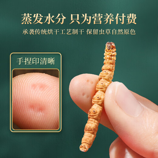 紫蓝花海冬虫夏草50g大号断草 新干虫草滋补品断虫草自食【健康礼盒】