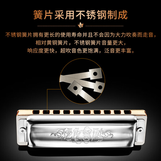 SEYDEL德国进口SEYDEL赛德 十孔10蓝调成人口琴 1847 CLASSIC 10孔LE调
