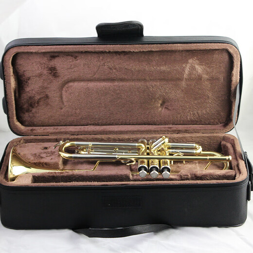 Xinghai trompeta pequeña b-flat tortuga de trompeta general instrumento musical XT-120
