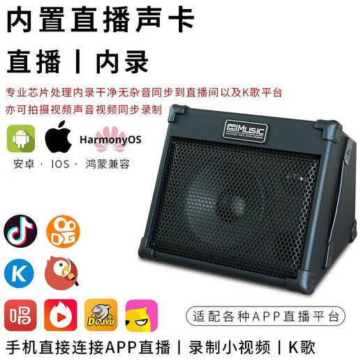 CoolmusicBP40 Outdoor Guitar Singing Speaker Saxophone Electronic Organ Street Performance Singing Live Audio Rechargeable Portable BP40+ Wired Microphone