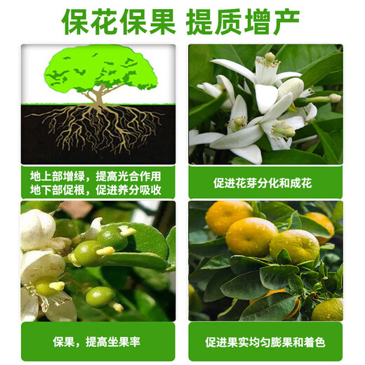 3% sodium nitrate, sodium nitrophenolate, vegetable tomato plant growth regulator, general pesticide, flower promotion and fruit preservation 500ml