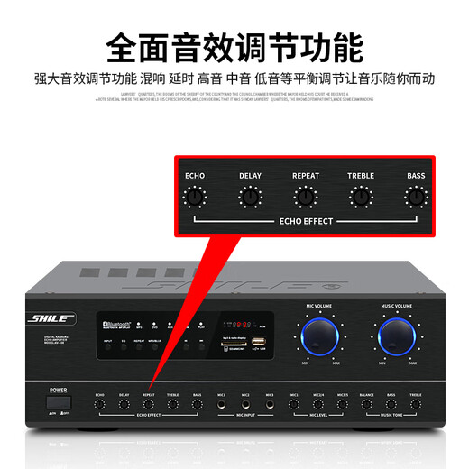 SHILE AV-108 professional power amplifier home theater karaoke power amplifier KTV stage conference room fixed resistance high power amplifier