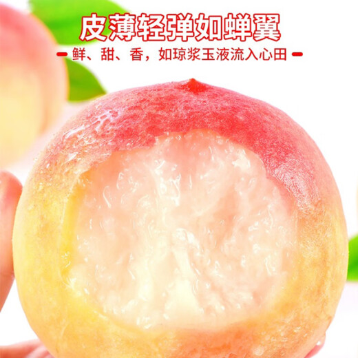 Xuchufang Peach 8 single fruits 250g + fresh peach fruit straight from the source