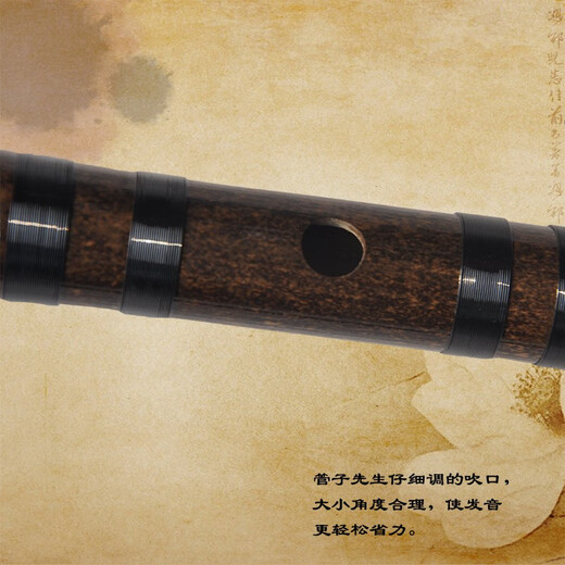 Mr. Guanzi Single Section Professionelle lila Bambusflöte kleines Flöteninstrument Horizontale Flöte erwachsene Kinder Jungen und Mädchen Anfänger Schäferhund Junge Flöte Ancient Style E Tune