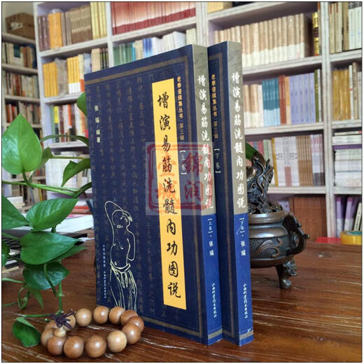 El diagrama de la fuerza interna del Yijin y el lavado de médula (página 684 de los volúmenes anteriores y del segundo) se obtuvo de la versión oficial del Maestro Kongwu de Shaolin.