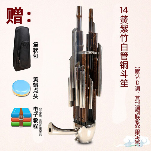 Instrument Sheng pour débutants 14 roseaux carrés sheng 17 roseaux 21 roseaux ronds sheng B plat CED clé débutant sheng instrument 14 roseaux violet bambou tube blanc cuivre doosheng-D clé