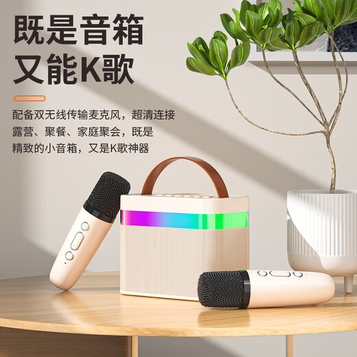 Newmine DP99 microphone and audio integrated sound card karaoke microphone home ktv audio set wireless bluetooth speaker singing artifact all-in-one children's entertainment microphone dual microphone