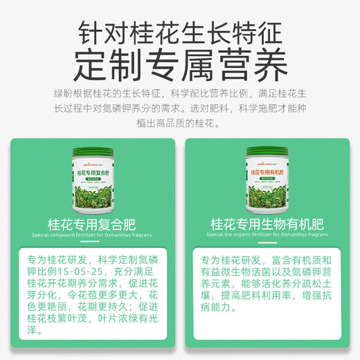 Lupan specializes in applying four-season osmanthus tree chemical fertilizers and compound fertilizers to grow laurel golden osmanthus and silver osmanthus for household potted plants and ground planting.