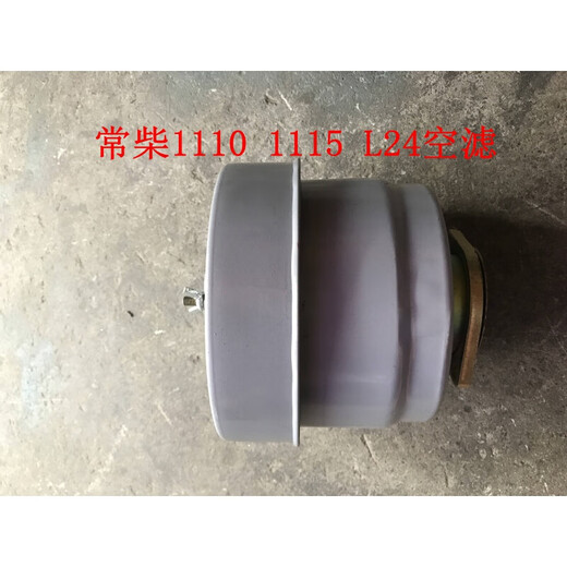 Oppone eignet sich für Changzhou Diesel -Motorzubehör Luftfilter ZS195.1100.1105.1110 ZS1100, ZS1105, ZS195