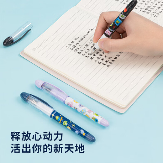 得力（deli）学生钢笔EF尖可换墨囊 正姿练字钢笔办公签字笔 1明尖+1暗尖+4墨囊黑色 S691 EF尖(约0.38mm)