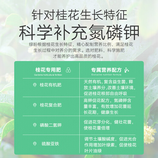 Lupan specializes in applying four-season osmanthus tree chemical fertilizers and compound fertilizers to grow laurel golden osmanthus and silver osmanthus for household potted plants and ground planting.