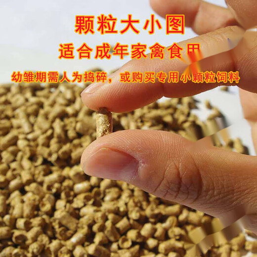 Goose feed goose full price pellet feed multi-Specifications young goose large goose feed goose peacock swan adult period 10Jin Jin is equal to 0.5 kg