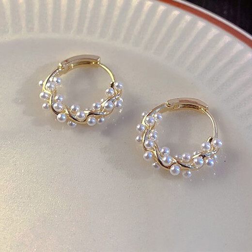 Countercurrent Fish Minimalist Style High-end Wrap Circle Earrings Women's Light Luxurious Temperament Earrings French Romantic Internet Celebrity Earrings