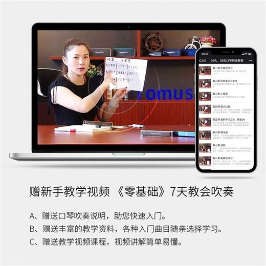 
Guoguang harmonica 24-hole polyphonic C-tune advanced adult beginner students stress imported gong professional playing instrument black polyphonic [video tutorial + self-study gift package]