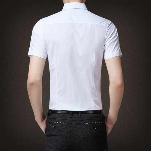 Kaduton summer short-sleeved shirt men's Korean version slim plus size youth business casual white shirt professional wear work clothes white XL