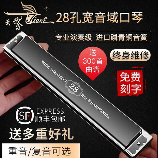 德国进口音簧28孔重音口琴成人演奏级复音24初学者入门定制款 24银色复音C调+教学视频教程+全套