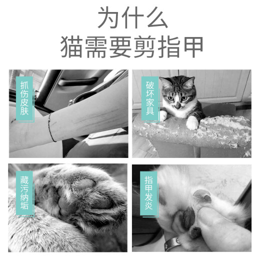 Hanhan Paradise Pet Nail Clipper Dog Cat Nail Clipper Nail Grinder Cat Nail Clipper Cat Grooming Supplies