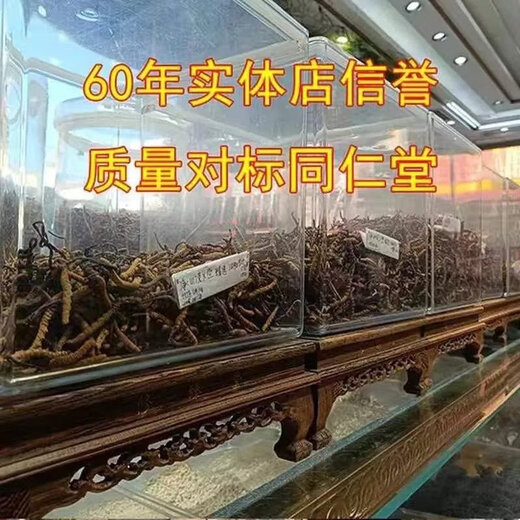 北京同仁堂同品质【官方精选】头茬冬虫夏草新干虫草滋补品过节送礼物 10支瓶装【精品钻石级两根一克】