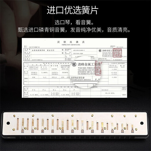 Guoguang Importé Gong Guoguang harmonica authentique en polyphonique 24 trous # A / B / C / D / F / G Tune / F / F / G Tune / F / Adult Professional Performance Niveau #G Tune (A-FLOAT)