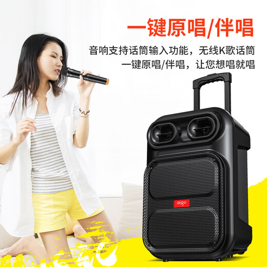 Patriot S56 12-inch square dance audio wireless Bluetooth trolley speaker high-power outdoor audio karaoke portable subwoofer stall amplifier speaker dual microphones